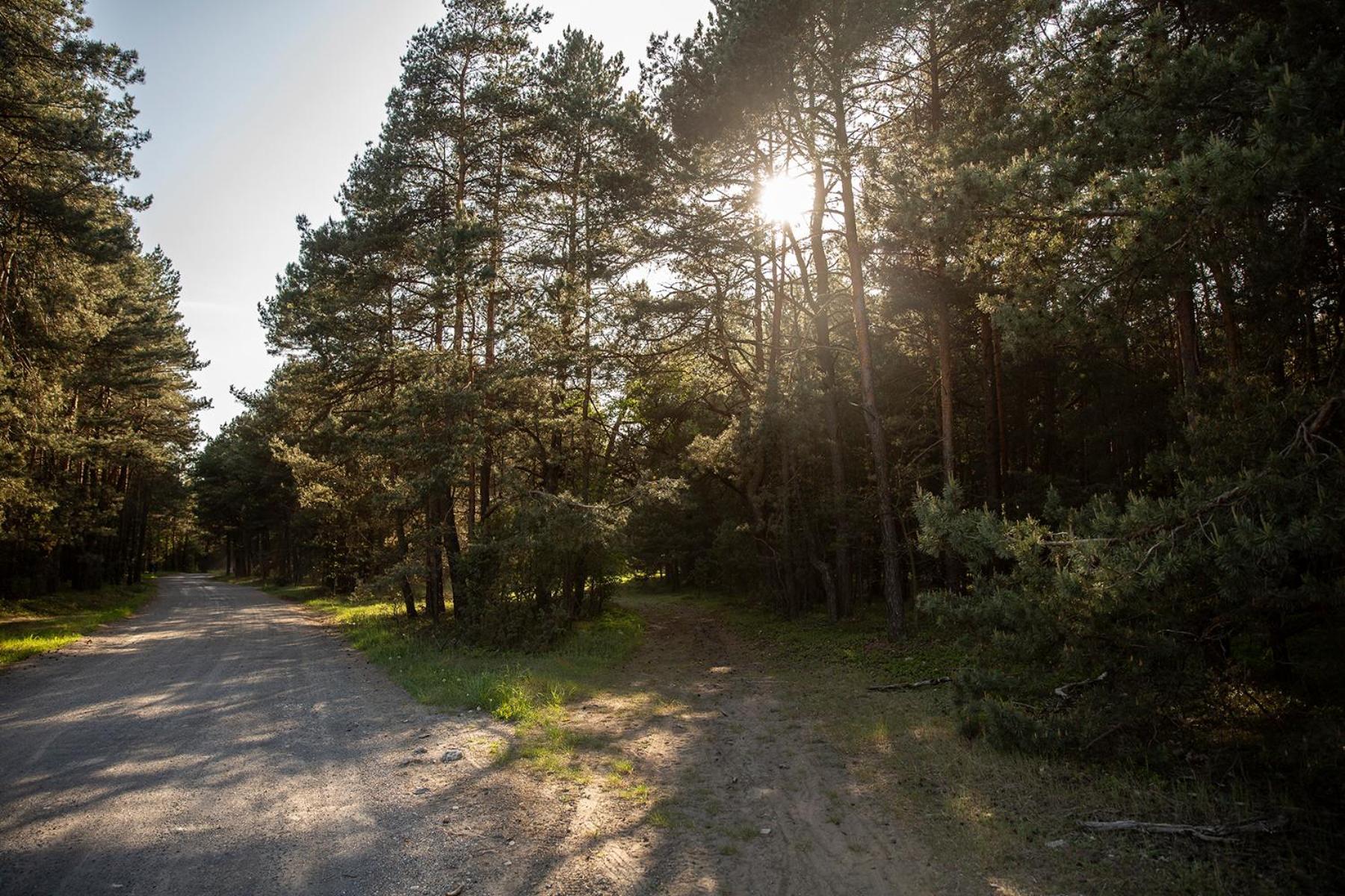 Jurajski Krysztal 4* Zaborze (Zarki)