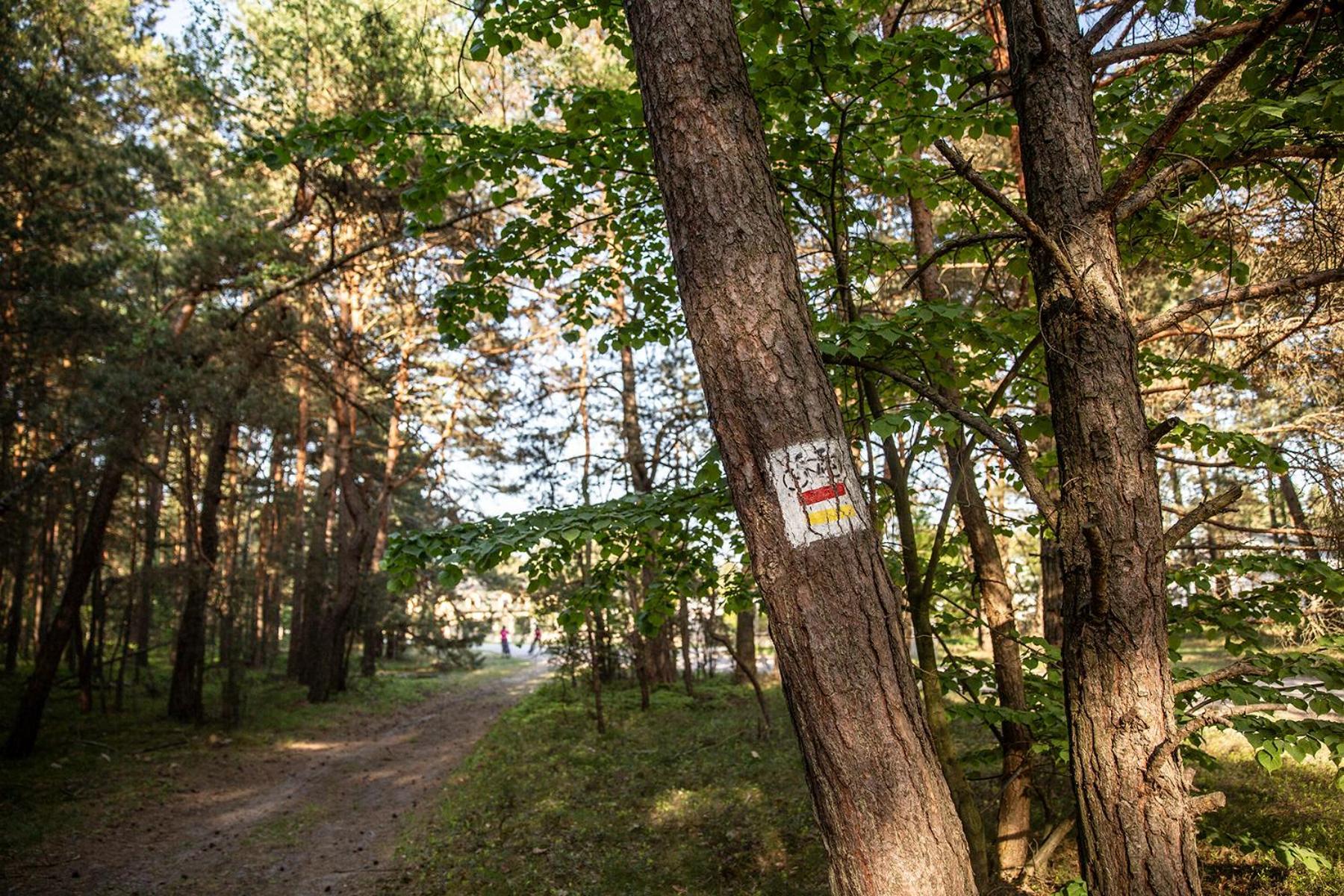 Jurajski Krysztal